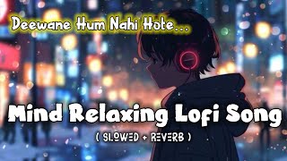 Deewane Hum Nahi Hote Slow and Reverb  Lofi  Hindi  Slow and Reverb songs Lyrica Song [upl. by Gamages270]