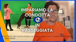 IMPARIAMO A GESTIRE IL CANE IN PASSEGGIATA [upl. by Lletnohs]