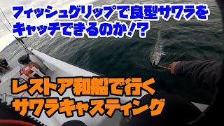 サワラキャスティングでタモに入りきらない良型サワラ 瀬戸内海（香川県） [upl. by Anastice]