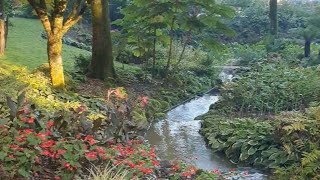 Le grand parc du Puy du Fou  La nature sauvage au cœur du parc Vendée France Octobre 2024 [upl. by Tennaj]