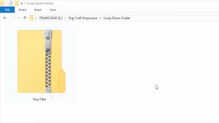 How To Unzip A Compressed File Folder [upl. by Sawyor]