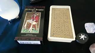 Medieval Scapini Tarot Deck flip through [upl. by Louanna]