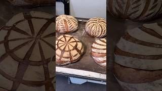 Roti sourdough miche [upl. by Aiyekal]