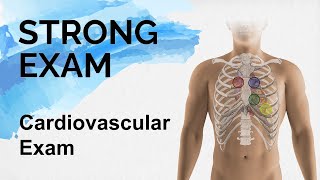 The Cardiovascular Exam  Heart Sounds Strong Exam [upl. by Allevon]