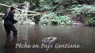 Pêche en Pays gentiane [upl. by Pazice498]