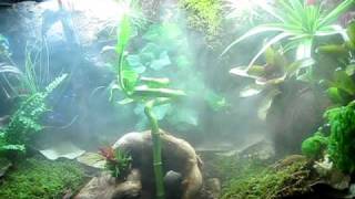 20 Gallon High Terrarium Ultrasonic Fogger [upl. by Auqinom]