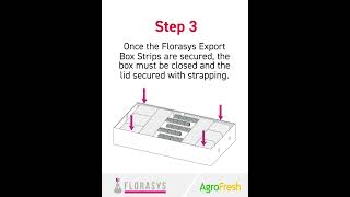 Florasys packing instructions flowers so2sheets flowersolutions [upl. by Aiceled]