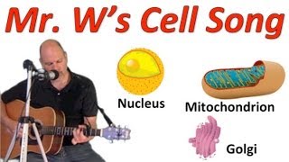 The Cell Song Learn the parts of cells by singing along with Mr W [upl. by Nahtanhoj]