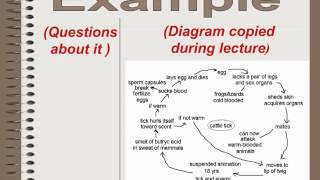 Cornell Notes [upl. by Robins]