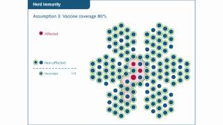 What is herd immunity [upl. by Acinaj363]