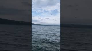 We went to Cayuga lake lake fingerlakes newyork [upl. by Davidson746]