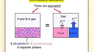 Phases for Immiscible Liquids [upl. by Faustine]