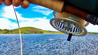 Catching Brown Trout Nymphing on a Lake  Newlyn Reservoir Victoria [upl. by Nodnab]