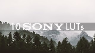 10 Cinematic Sony LUT Pack  Premiere Pro Final Cut Pro ect [upl. by Asserak276]