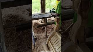 Planer Wood Compilation Sound ASMR I Budget Planer for Woodworking Hand Planer Akie The Carpenter [upl. by Pasquale380]