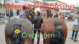 Creglingen Pferde 🐴🐎 Prämierung [upl. by Sibley983]