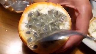 Granadilla Exotic Colombian Fruit [upl. by Eelaroc]