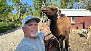 Day in the Life of FLAIR’S Farmhand Feeding Animals Mold Inspection amp More [upl. by Alleacim]