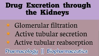 Drug clearance by the kidney  Drug Excretion part1 [upl. by Nylhsoj586]