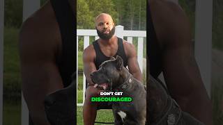 Stay Persistence with your Cane Corso Puppy Training  Even During Setbacks 🐾 [upl. by Conover]