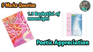 13 Basketful of Moonlight Poetic Appreciation 10th board important question [upl. by Elenaj]