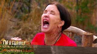 Puking up Lambs Testicles  Im A Celebrity South Africa [upl. by Cykana]