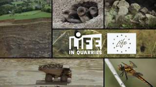 LIFE IN QUARRIES [upl. by Adnamar257]