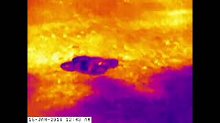 DJI Neo Viewed via Thermal Camera [upl. by Anaerda]