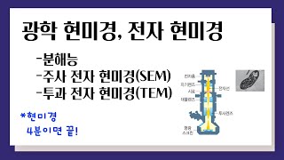 광학 현미경 전자 현미경 l 분해능 주사 전자 현미경 투과 전자 현미경 [upl. by Coulson]