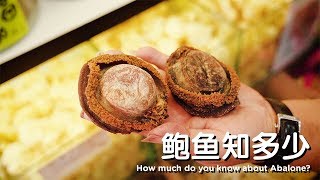 鲍鱼知多少 How much do you know about Abalone [upl. by Nnylkcaj]