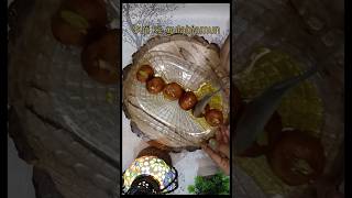 Suji ke perfect gulabjamun🫰😋😋 Recipelessspicykitchen ytshorts viral trending cookingvedio [upl. by Nutter]