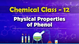 Physical Properties of Phenol  Alcohols Phenols and Ethers  Chemistry Class 12 [upl. by Latvina]