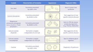 Interpretation of the Urinalysis Part 3  Microscopy and Summary [upl. by Suvart]