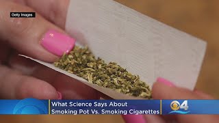 Heres What Science Says About Smoking Pot Vs Smoking Cigarettes [upl. by Teiv]