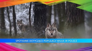 Populacja Wilka w Polsce [upl. by Nhguavaj]