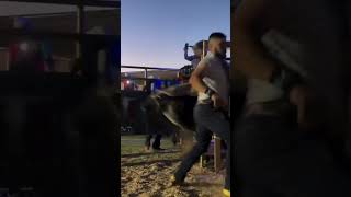 El toro más criticado REGRESAtoros torosbravos jaripeo bull ganado mascotas cow jaripeo [upl. by Leuname403]