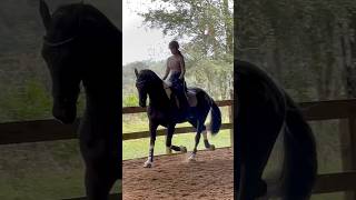 Happening just now… clip of my ride today… I hope you enjoy it 😃♥️😃 horse equestrian riding [upl. by Anh]