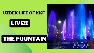 Loy Krathong The Fountain thailand loykrathong thailandfestival fountain viralvideo [upl. by Adnorat105]