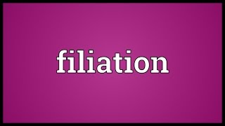 Filiation Meaning [upl. by Tesler]