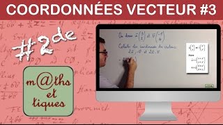 Appliquer des formules sur les coordonnées des vecteurs  Seconde [upl. by Nuajed91]