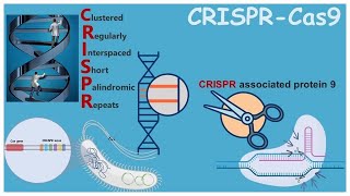 CRISPR Rewriting the Code of Life [upl. by Livvie920]