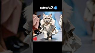 Cats 🥰 catwalk😺 Fashion show 💖 with attitude shorts cute cats fashion catwalk catfashion [upl. by Jarita]