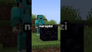 Dlaczego NAMETAG jest NAJRZADSZYM ITEMEM w Minecraft [upl. by Amando]