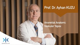 Anorektal Anatomi 4  Vaskuler Yapısı [upl. by Duky]