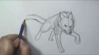 How to Draw Motion Wolf Running [upl. by Anibur]