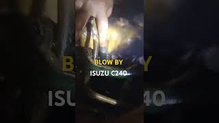 BLOW BY ISUZU C240 blowby isuzu [upl. by Rossing]