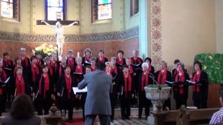 Ging ein Weiblein Nüsse schütteln  Salzland Frauenchor Staßfurt a cappella SSAA choir [upl. by Pratte]