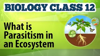 What Is Parasitism in an Ecosystem  Organisms and Environment 2  Biology Class 12 [upl. by Netsrak]