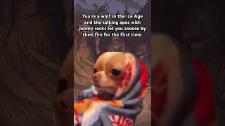 Side effects include Chihuahuaization Anthropology DogDomestication History ￼ [upl. by Jaymie]