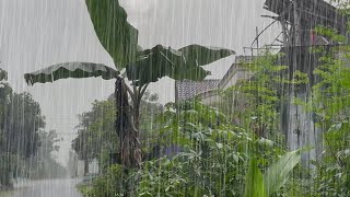 Fall asleep fast in 3 minutes with torrential rain amp powerful thunder sounds for sleeping in rural [upl. by Reginnej531]